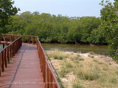 2004 Cuba, Cayo Ensenachos, DSC00816 B_B720